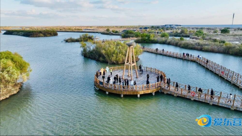 可以瞬间提 可以瞬间提