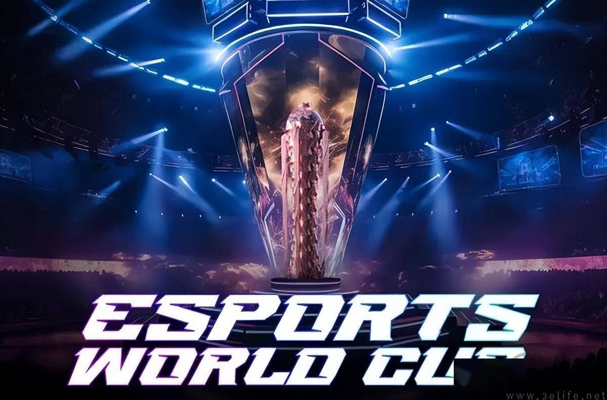 球迷们对此 球迷们对此